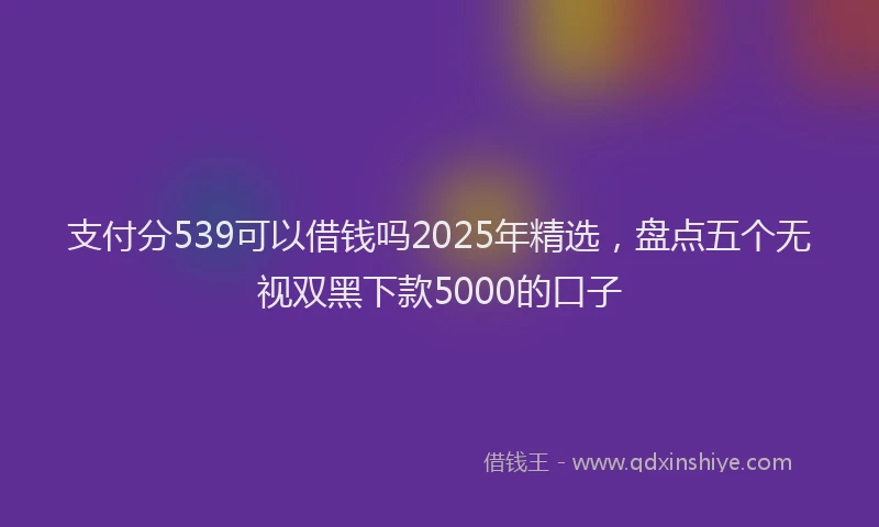支付分539可以借钱吗2025年精选，盘点五个无视双黑下款5000的口子