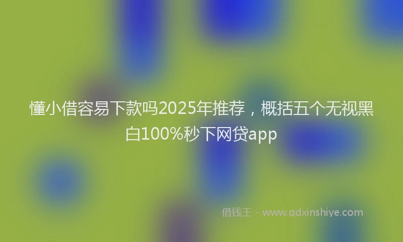 懂小借容易下款吗2025年推荐，概括五个无视黑白100%秒下网贷app