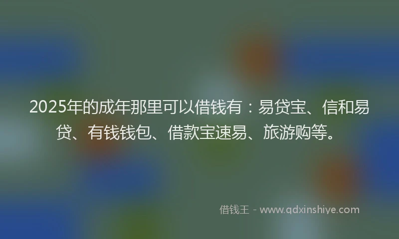 2025年的成年那里可以借钱有：易贷宝、信和易贷、有钱钱包、借款宝速易、旅游购等。