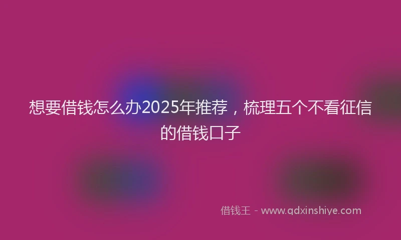 想要借钱怎么办2025年推荐，梳理五个不看征信的借钱口子