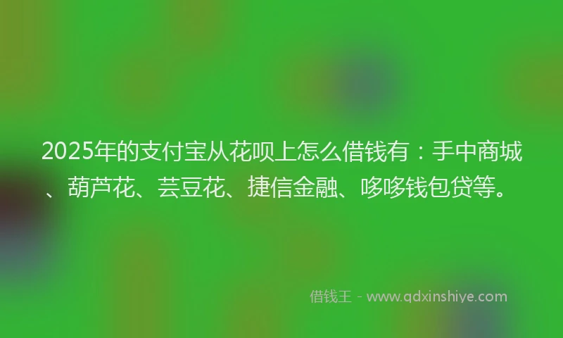 2025年的支付宝从花呗上怎么借钱有：手中商城、葫芦花、芸豆花、捷信金融、哆哆钱包贷等。