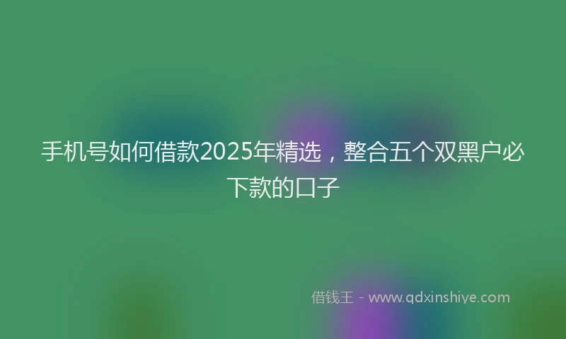 手机号如何借款2025年精选，整合五个双黑户必下款的口子