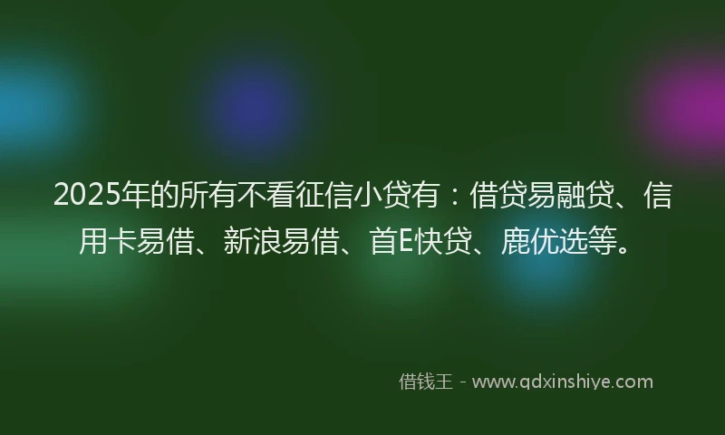 2025年的所有不看征信小贷有：借贷易融贷、信用卡易借、新浪易借、首E快贷、鹿优选等。