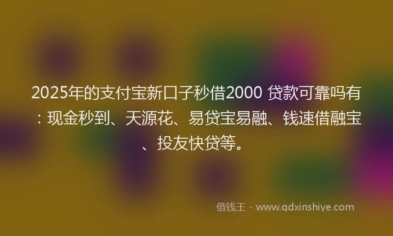 2025年的支付宝新口子秒借2000 贷款可靠吗有：现金秒到、天源花、易贷宝易融、钱速借融宝、投友快贷等。