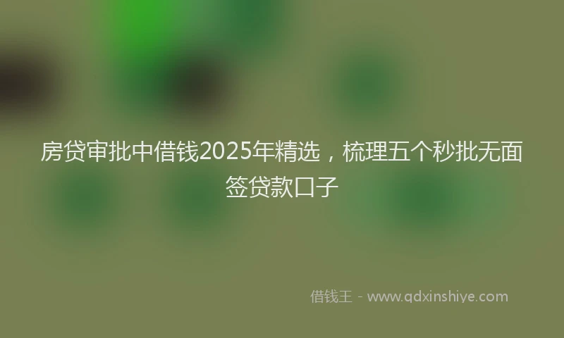 房贷审批中借钱2025年精选，梳理五个秒批无面签贷款口子