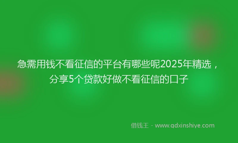 急需用钱不看征信的平台有哪些呢2025年精选，分享5个贷款好做不看征信的口子