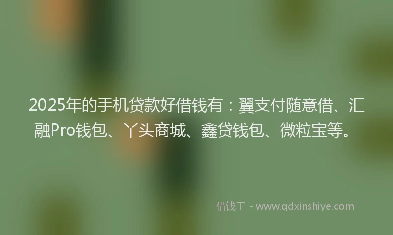 2025年的手机贷款好借钱有：翼支付随意借、汇融Pro钱包、丫头商城、鑫贷钱包、微粒宝等。