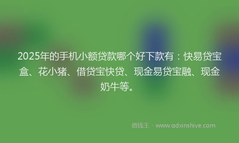 2025年的手机小额贷款哪个好下款有：快易贷宝盒、花小猪、借贷宝快贷、现金易贷宝融、现金奶牛等。