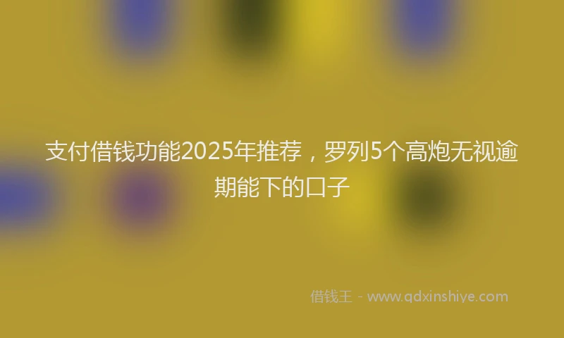 支付借钱功能2025年推荐，罗列5个高炮无视逾期能下的口子