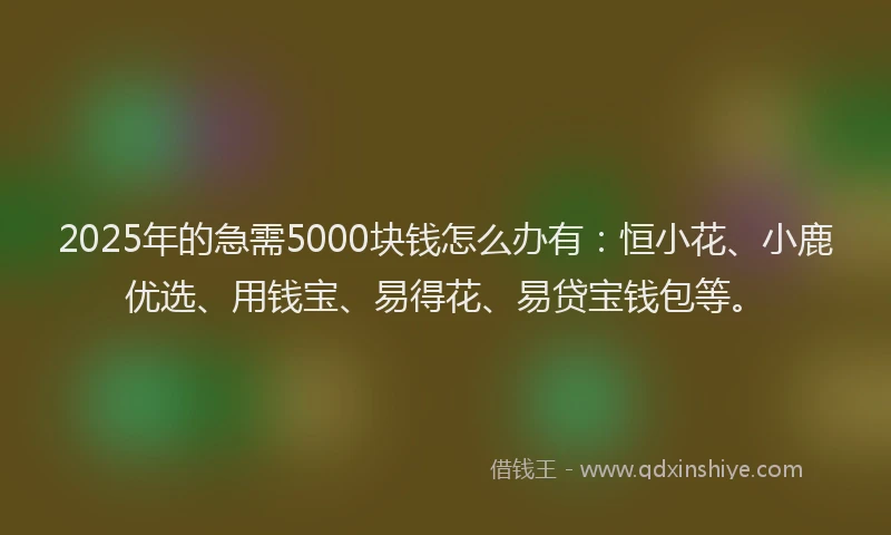 2025年的急需5000块钱怎么办有：恒小花、小鹿优选、用钱宝、易得花、易贷宝钱包等。