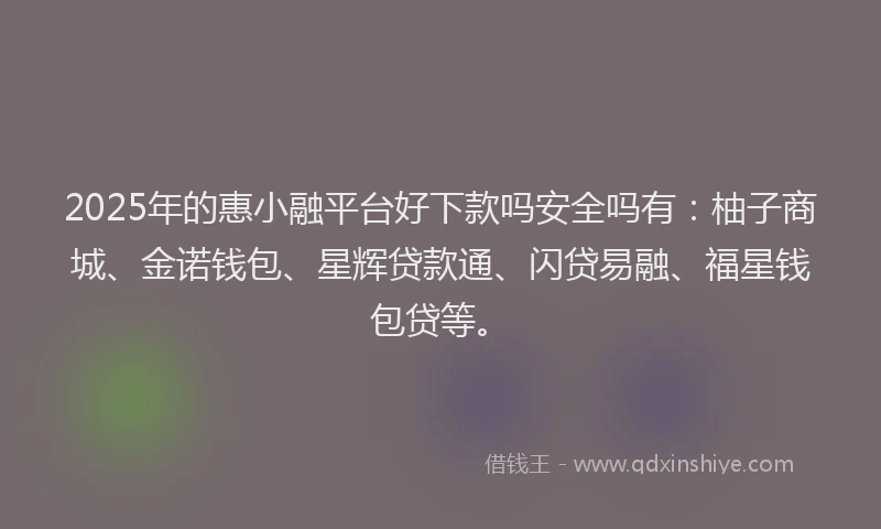 2025年的惠小融平台好下款吗安全吗有：柚子商城、金诺钱包、星辉贷款通、闪贷易融、福星钱包贷等。