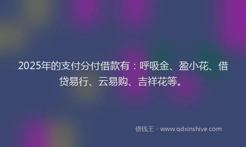 2025年的支付分付借款有：呼吸金、盈小花、借贷易行、云易购、吉祥花等。