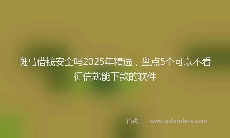 斑马借钱安全吗2025年精选，盘点5个可以不看征信就能下款的软件
