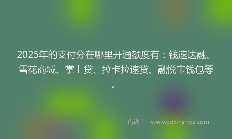 2025年的支付分在哪里开通额度有：钱速达融、雪花商城、掌上贷、拉卡拉速贷、融悦宝钱包等。