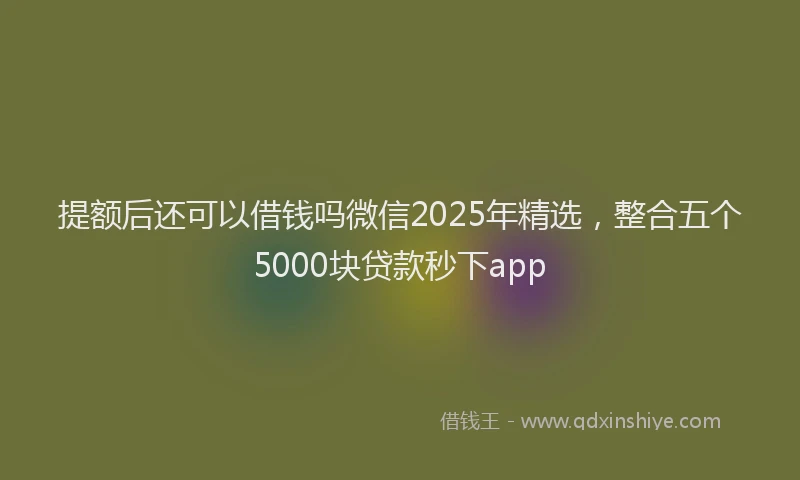 提额后还可以借钱吗微信2025年精选，整合五个5000块贷款秒下app