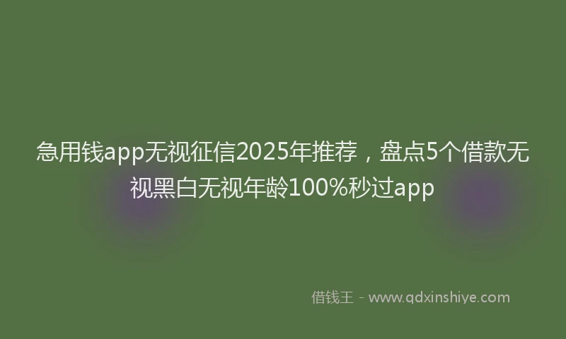 急用钱app无视征信2025年推荐，盘点5个借款无视黑白无视年龄100%秒过app