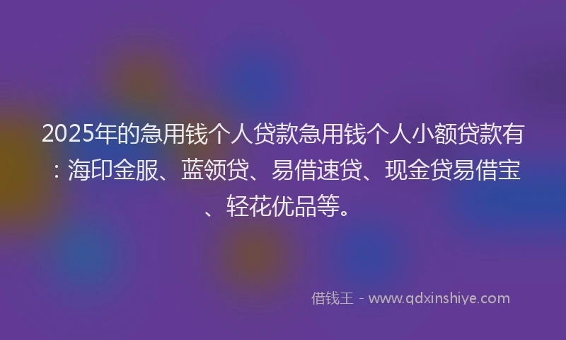 2025年的急用钱个人贷款急用钱个人小额贷款有：海印金服、蓝领贷、易借速贷、现金贷易借宝、轻花优品等。
