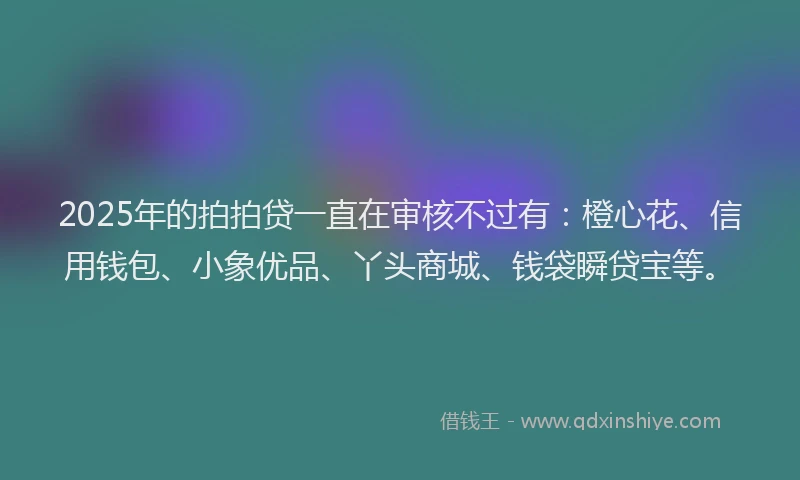 2025年的拍拍贷一直在审核不过有：橙心花、信用钱包、小象优品、丫头商城、钱袋瞬贷宝等。