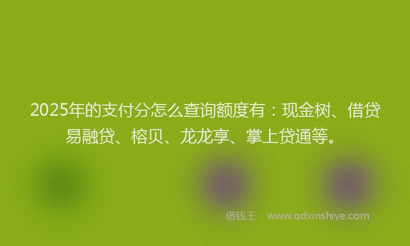 2025年的支付分怎么查询额度有：现金树、借贷易融贷、榕贝、龙龙享、掌上贷通等。