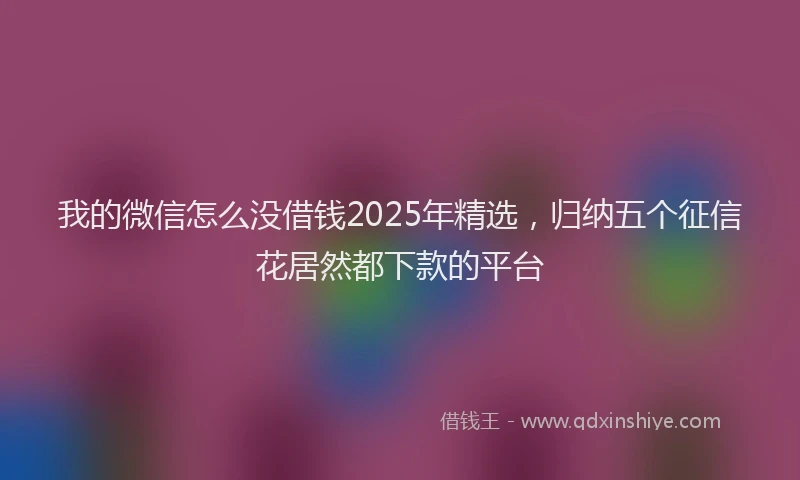 我的微信怎么没借钱2025年精选，归纳五个征信花居然都下款的平台