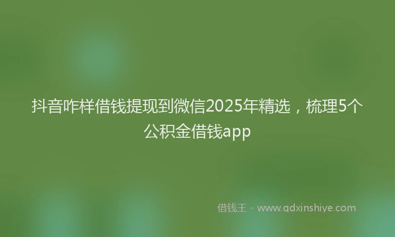 抖音咋样借钱提现到微信2025年精选，梳理5个公积金借钱app