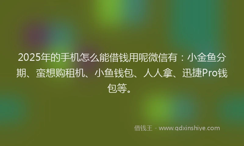 2025年的手机怎么能借钱用呢微信有：小金鱼分期、蛮想购租机、小鱼钱包、人人拿、迅捷Pro钱包等。