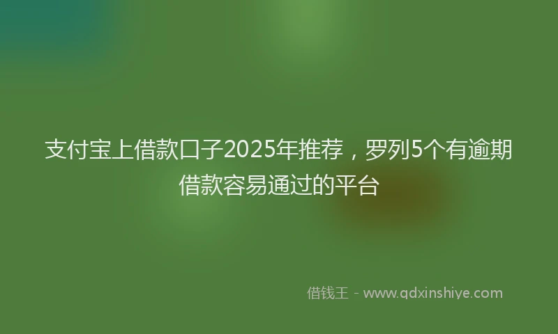 支付宝上借款口子2025年推荐，罗列5个有逾期借款容易通过的平台