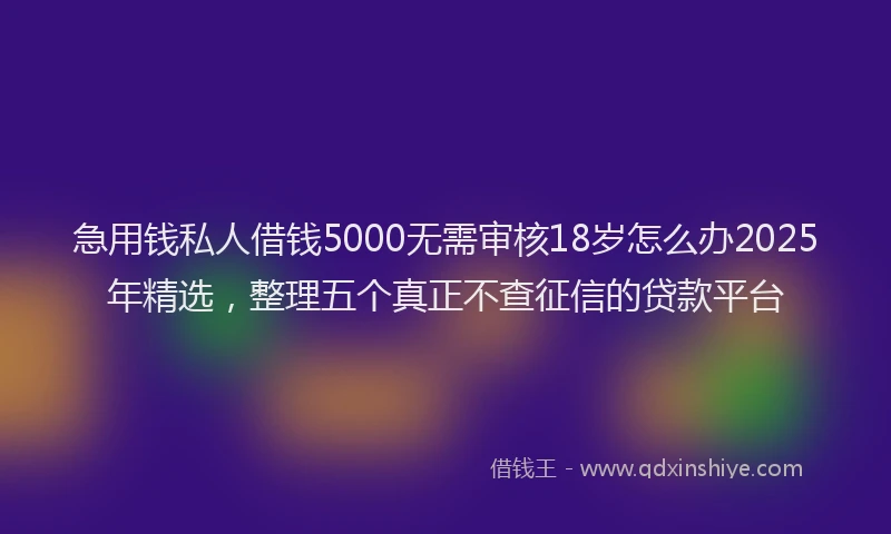 急用钱私人借钱5000无需审核18岁怎么办2025年精选，整理五个真正不查征信的贷款平台