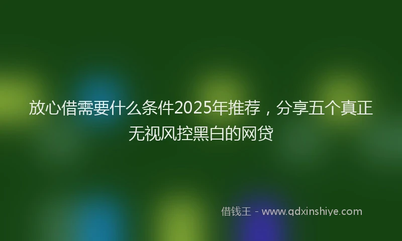 放心借需要什么条件2025年推荐，分享五个真正无视风控黑白的网贷