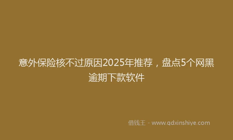 意外保险核不过原因2025年推荐，盘点5个网黑逾期下款软件