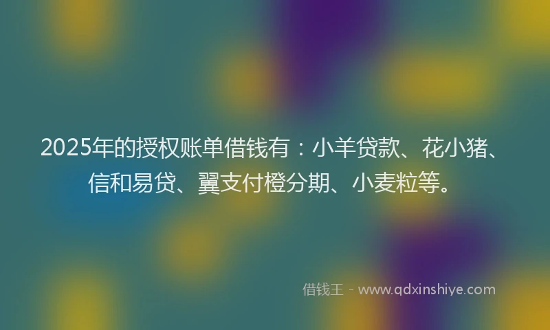 2025年的授权账单借钱有：小羊贷款、花小猪、信和易贷、翼支付橙分期、小麦粒等。