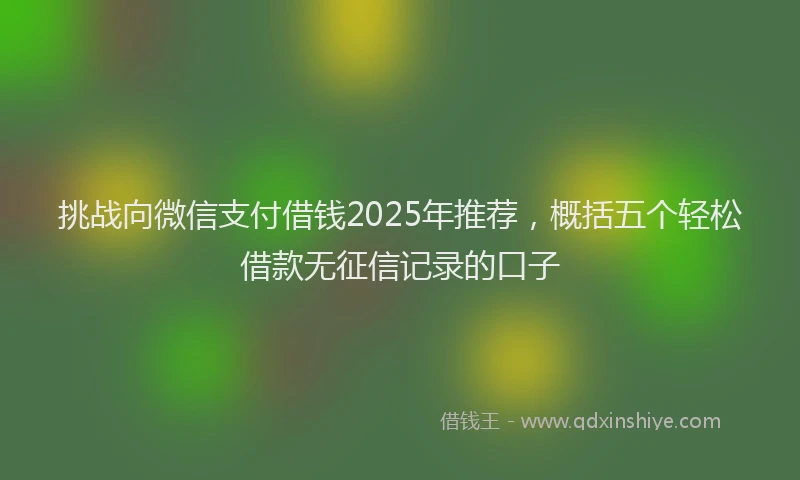 挑战向微信支付借钱2025年推荐，概括五个轻松借款无征信记录的口子