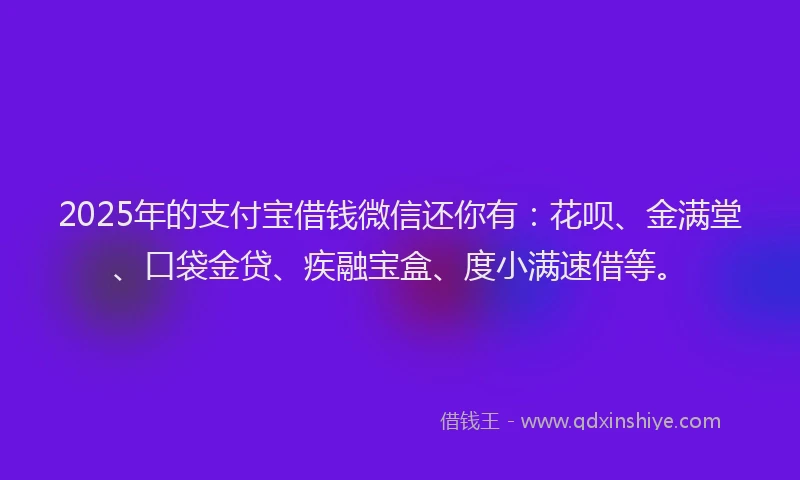 2025年的支付宝借钱微信还你有：花呗、金满堂、口袋金贷、疾融宝盒、度小满速借等。