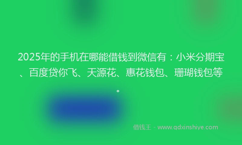 2025年的手机在哪能借钱到微信有：小米分期宝、百度贷你飞、天源花、惠花钱包、珊瑚钱包等。