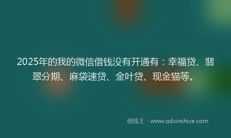 2025年的我的微信借钱没有开通有：幸福贷、翡翠分期、麻袋速贷、金叶贷、现金猫等。