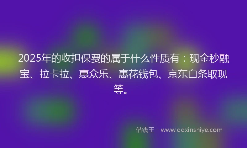 2025年的收担保费的属于什么性质有：现金秒融宝、拉卡拉、惠众乐、惠花钱包、京东白条取现等。