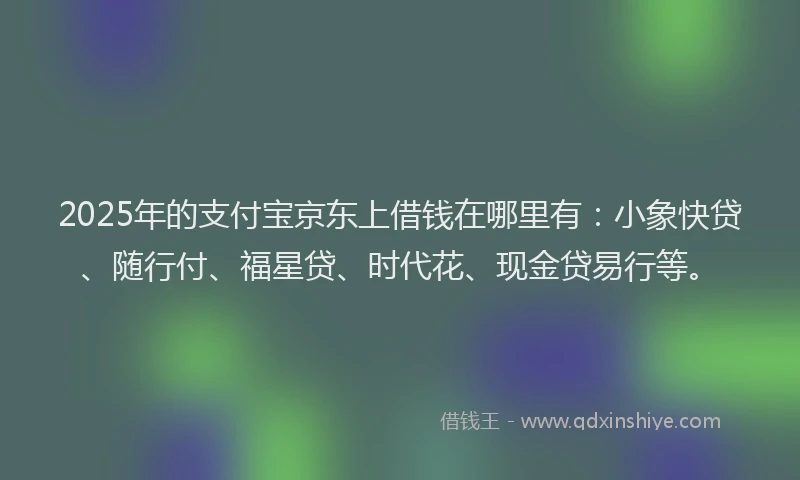 2025年的支付宝京东上借钱在哪里有：小象快贷、随行付、福星贷、时代花、现金贷易行等。