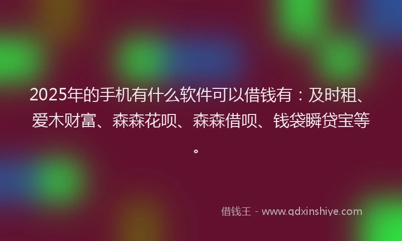 2025年的手机有什么软件可以借钱有：及时租、爱木财富、森森花呗、森森借呗、钱袋瞬贷宝等。