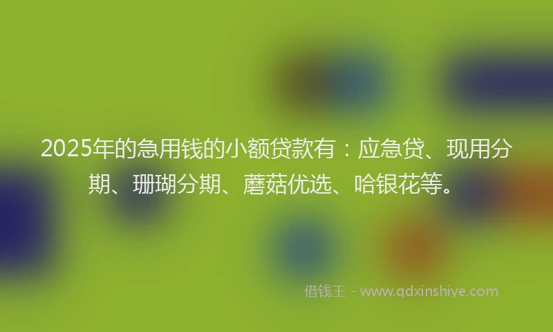 2025年的急用钱的小额贷款有：应急贷、现用分期、珊瑚分期、蘑菇优选、哈银花等。