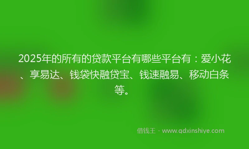2025年的所有的贷款平台有哪些平台有：爱小花、享易达、钱袋快融贷宝、钱速融易、移动白条等。