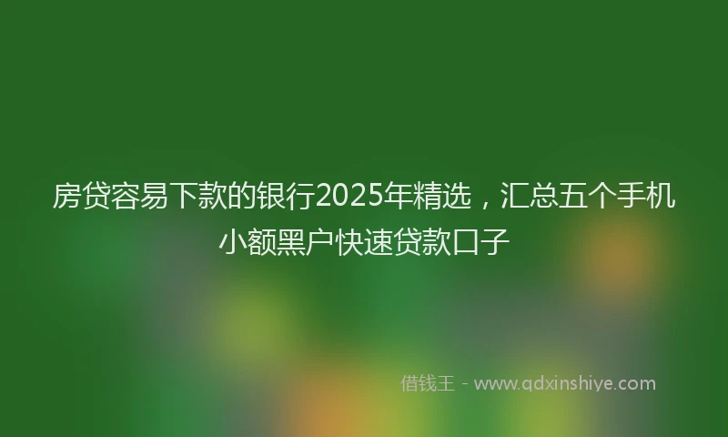 房贷容易下款的银行2025年精选，汇总五个手机小额黑户快速贷款口子