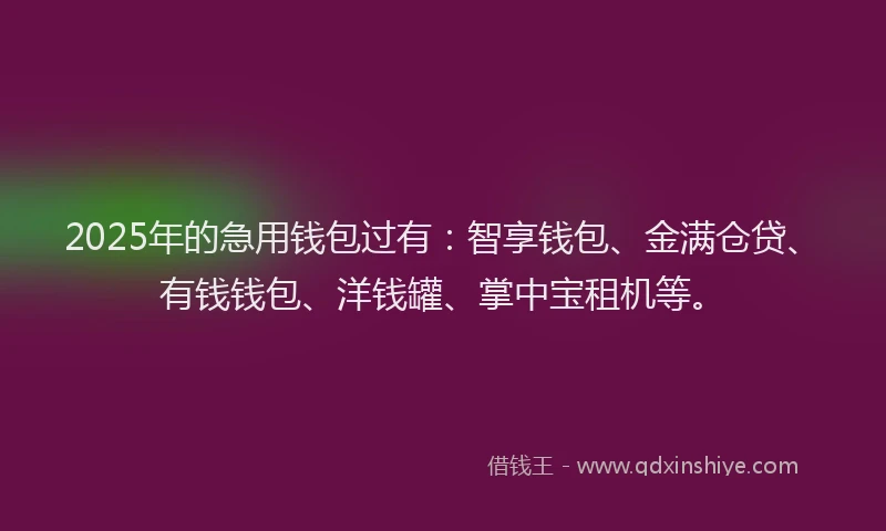 2025年的急用钱包过有：智享钱包、金满仓贷、有钱钱包、洋钱罐、掌中宝租机等。
