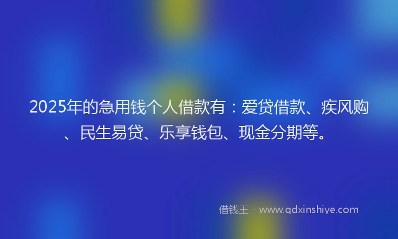 2025年的急用钱个人借款有：爱贷借款、疾风购、民生易贷、乐享钱包、现金分期等。