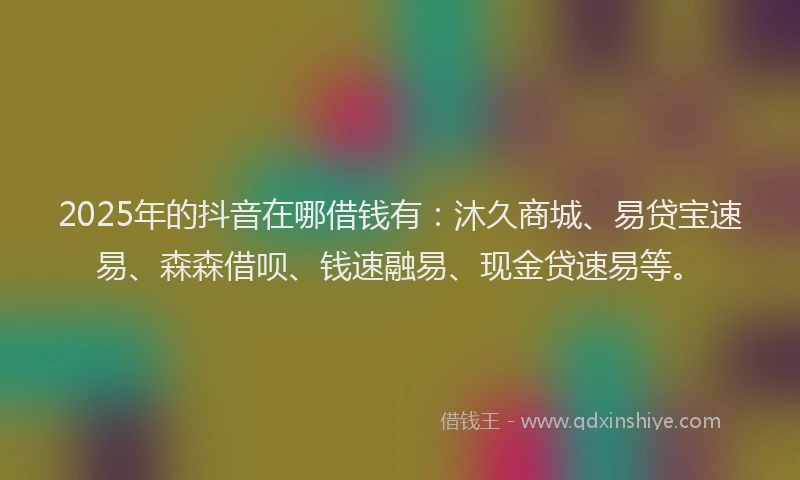 2025年的抖音在哪借钱有：沐久商城、易贷宝速易、森森借呗、钱速融易、现金贷速易等。