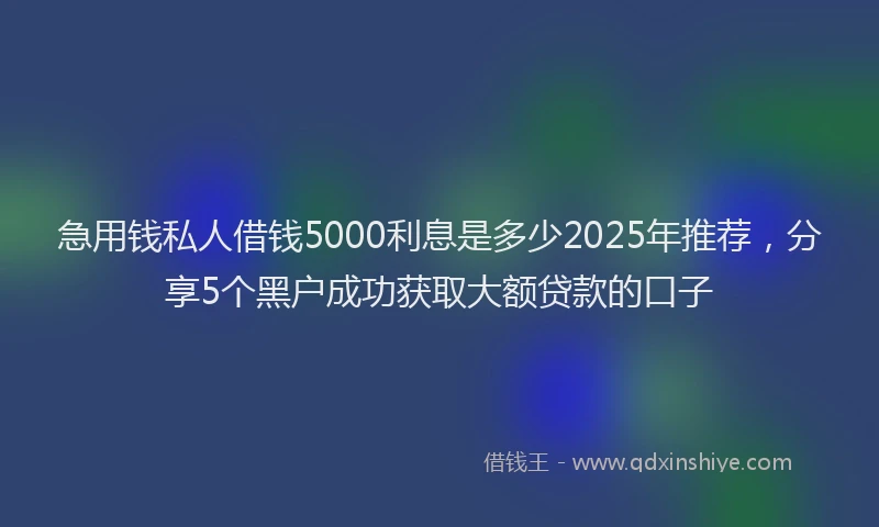急用钱私人借钱5000利息是多少2025年推荐，分享5个黑户成功获取大额贷款的口子