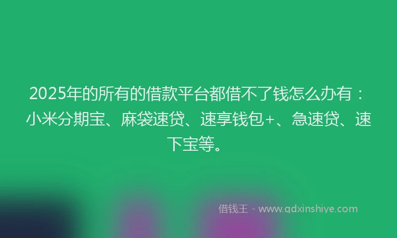 2025年的所有的借款平台都借不了钱怎么办有：小米分期宝、麻袋速贷、速享钱包+、急速贷、速下宝等。