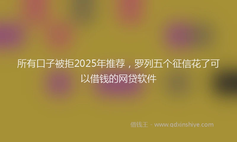 所有口子被拒2025年推荐，罗列五个征信花了可以借钱的网贷软件