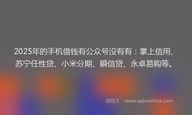2025年的手机借钱有公众号没有有：掌上信用、苏宁任性贷、小米分期、瞬信贷、永卓易购等。