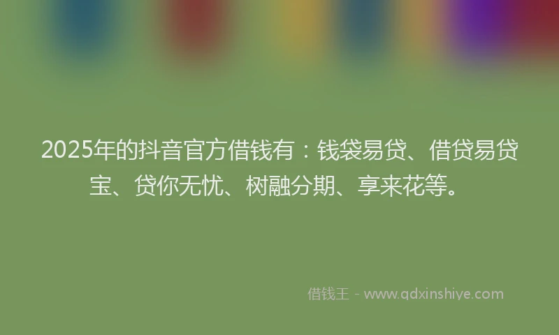 2025年的抖音官方借钱有：钱袋易贷、借贷易贷宝、贷你无忧、树融分期、享来花等。