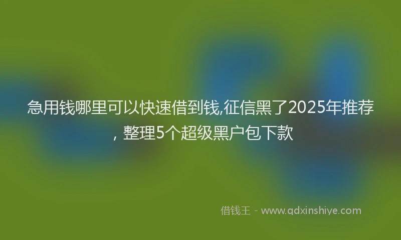 急用钱哪里可以快速借到钱,征信黑了2025年推荐，整理5个超级黑户包下款